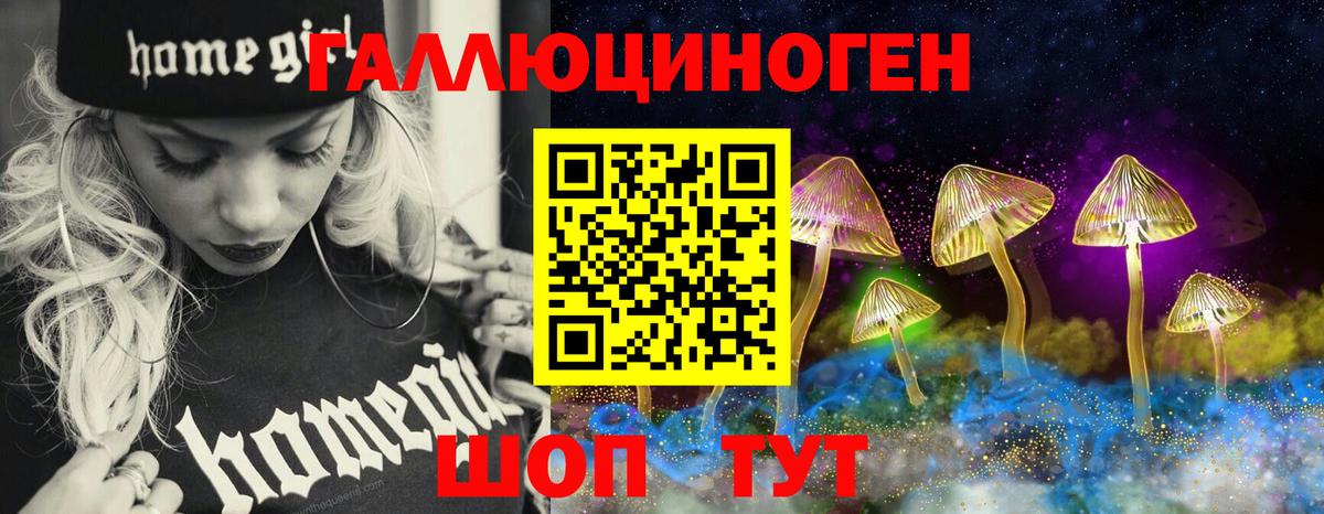 Псилоцибиновые грибы мицелий Абакан